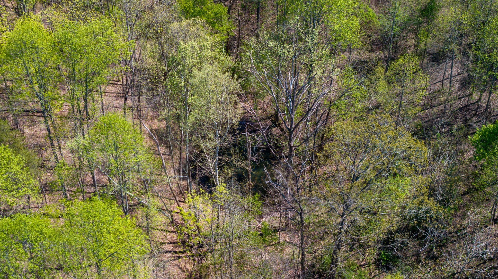 0 Dodson Branch Hwy