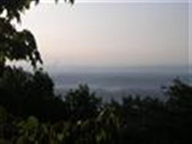 1180 Black Bear Trail