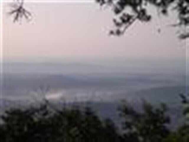 1180 Black Bear Trail