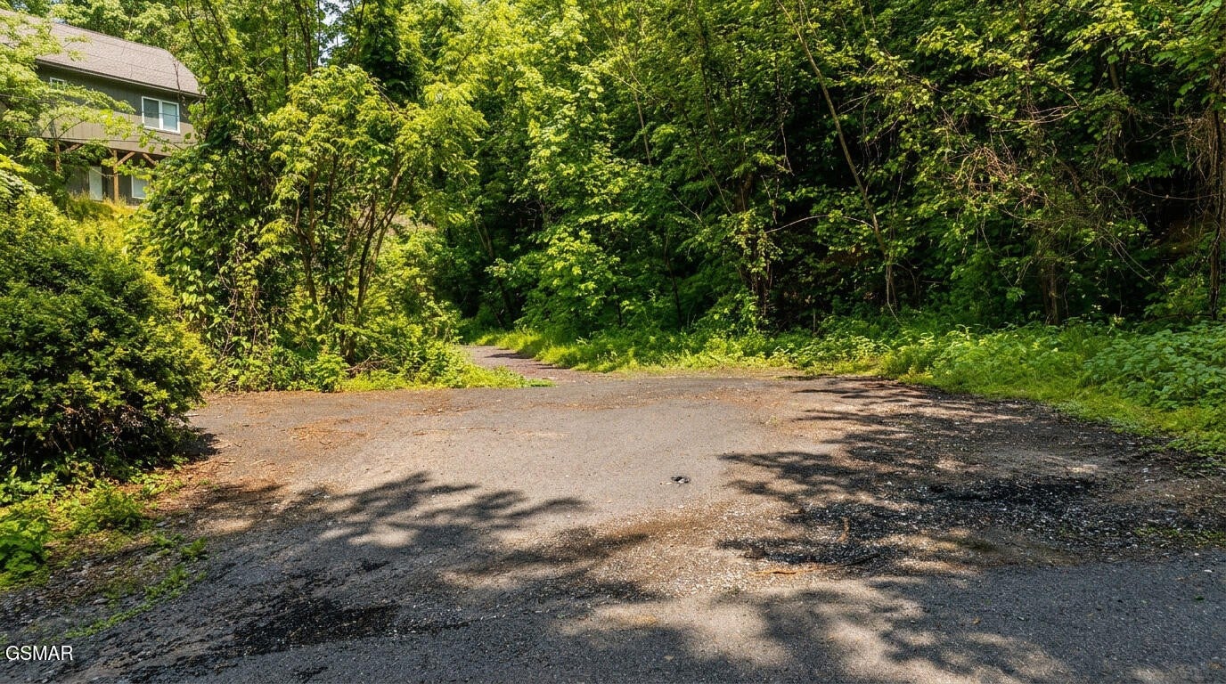 303 Silverbell Lane