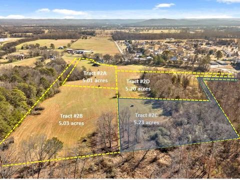 0 Blue Sky Drive Dayton TN 37321