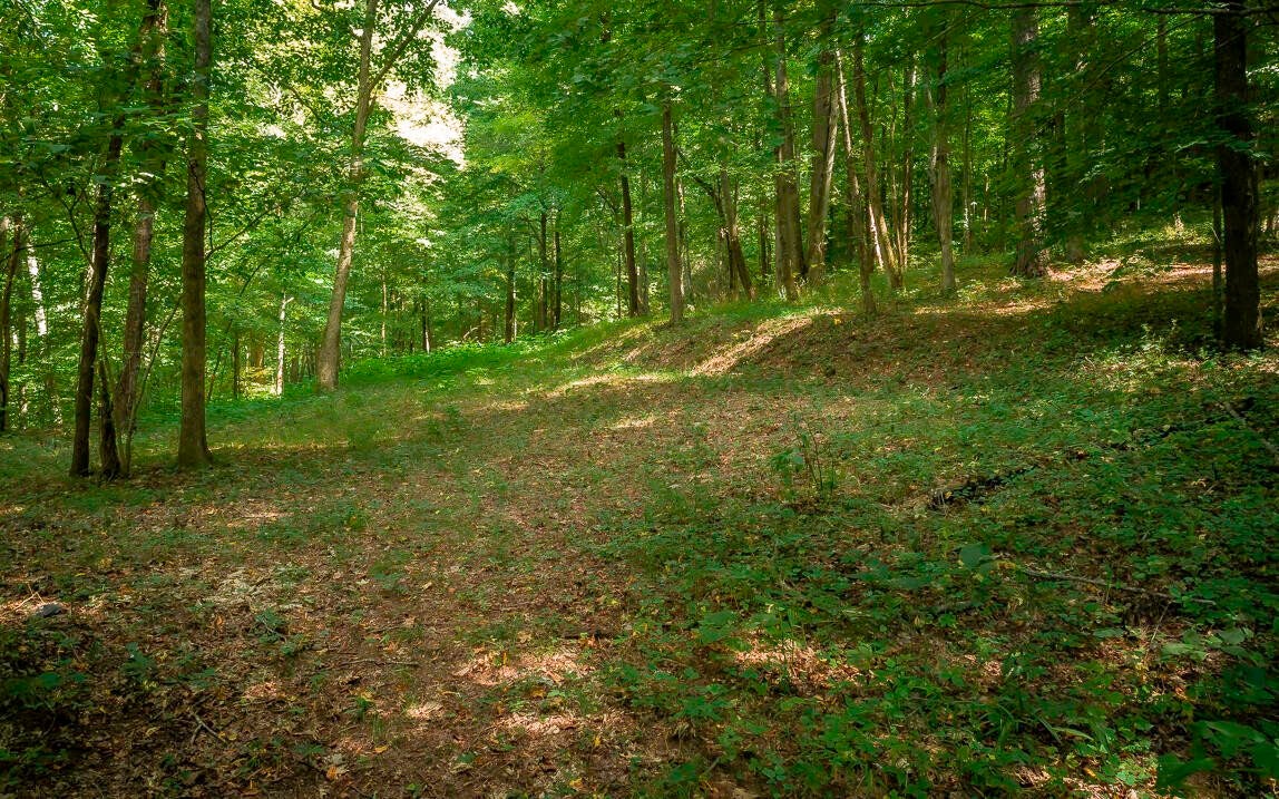 1754 Oakbrook Trail