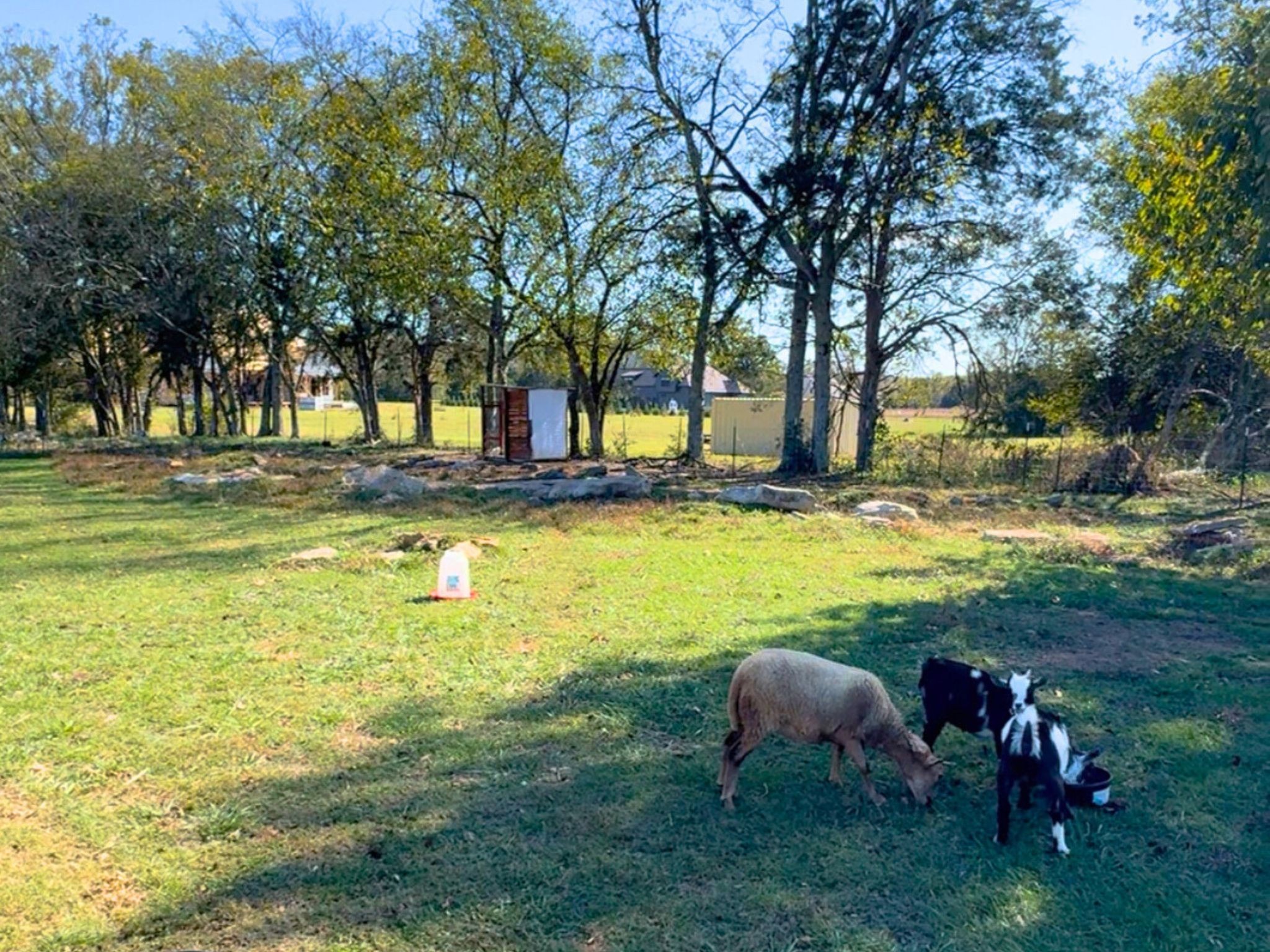 2070 Hamilton Chambers Rd