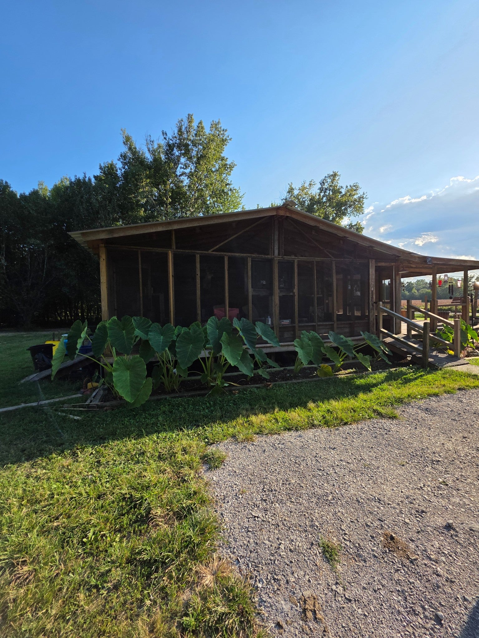 3788 New Bushy Branch Rd