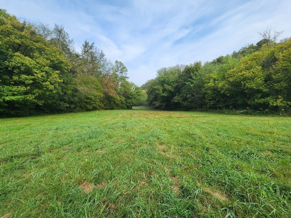 0 Webster Branch Ln