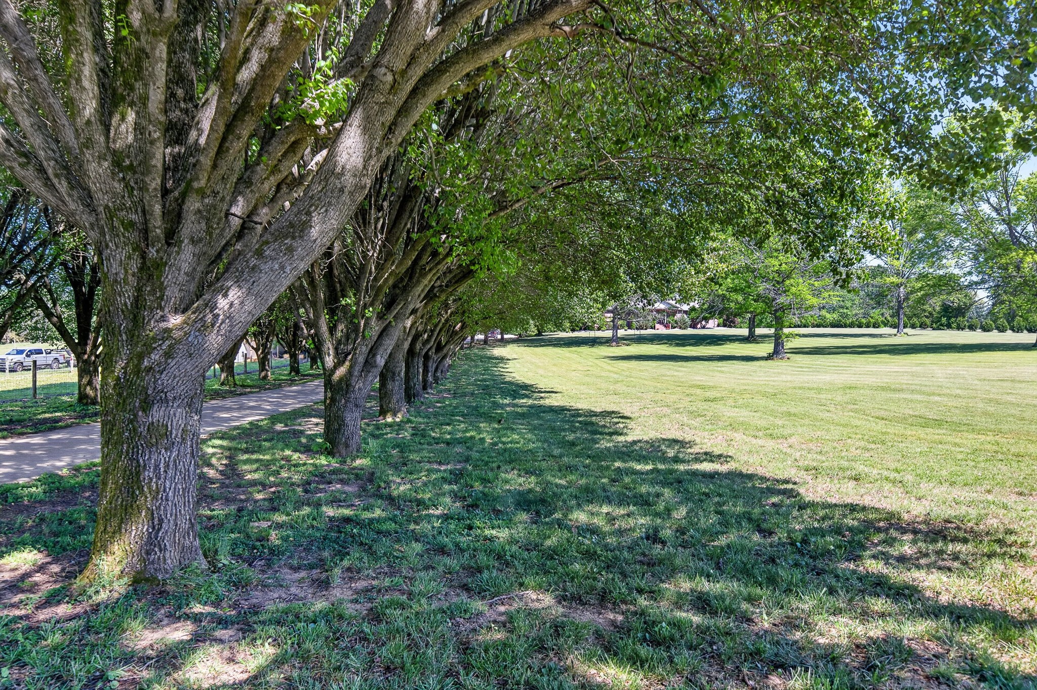 2235 Hidden Cove Rd, Cookeville, TN, 38506, USA, 6 Bedrooms Bedrooms, ,3 BathroomsBathrooms,Residential,Active,2235 Hidden Cove Rd,3182512