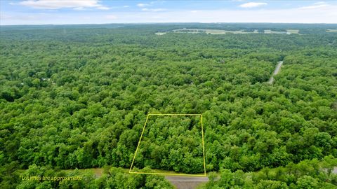 0 Mountain Ash Dr Monterey TN 38574