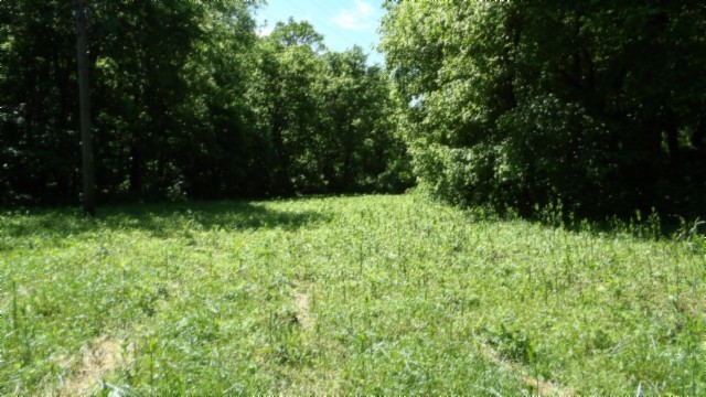 5155 Brimstone Creek Rd