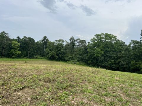 5 Annie Hollow Rd Westmoreland TN 37186