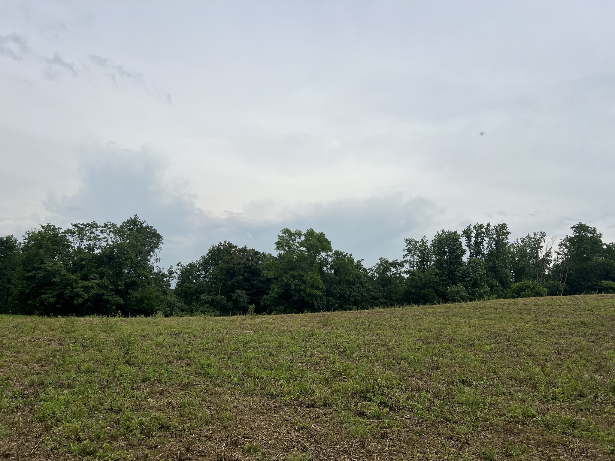 5 Annie Hollow Rd