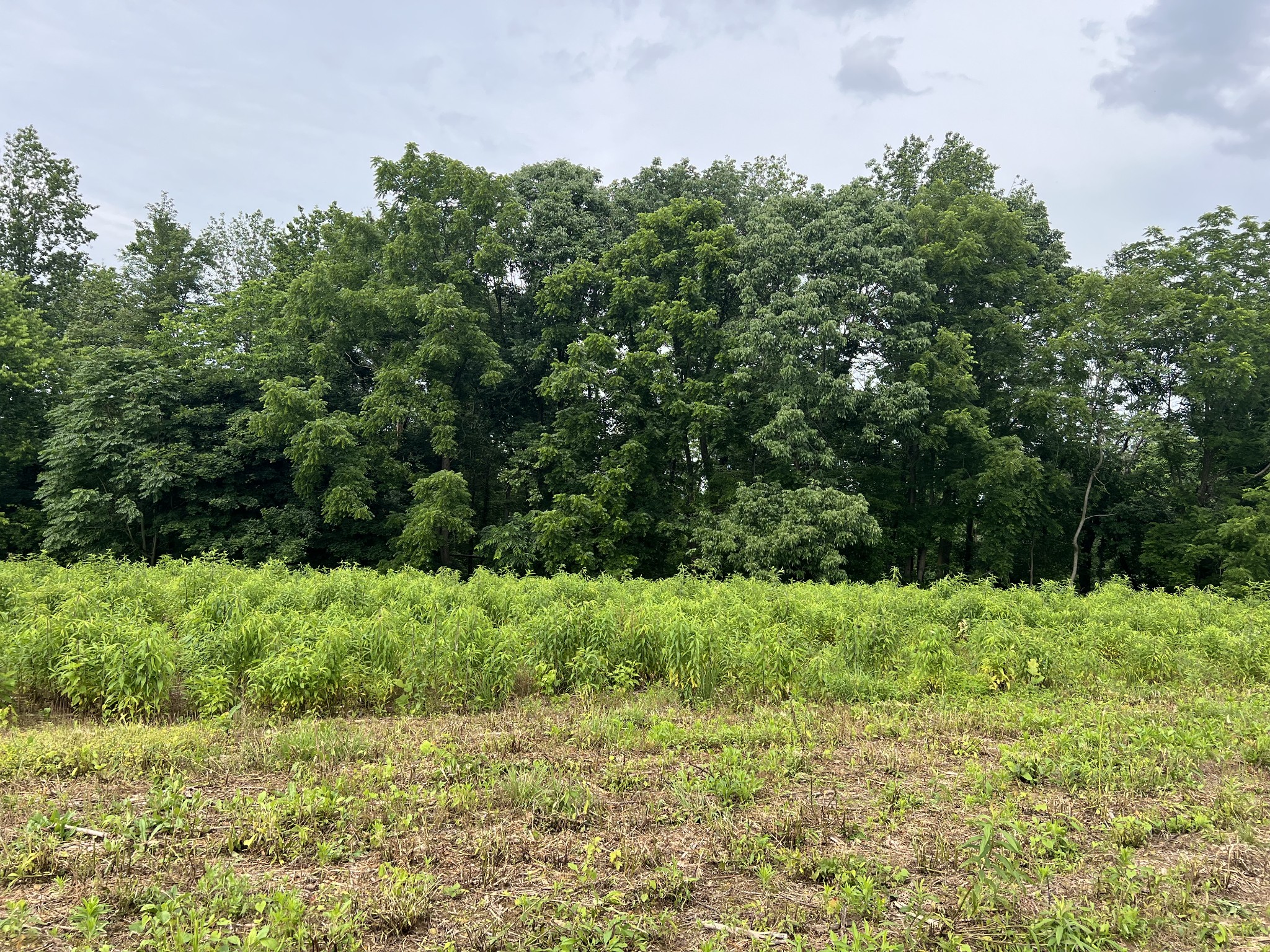 5 Annie Hollow Rd