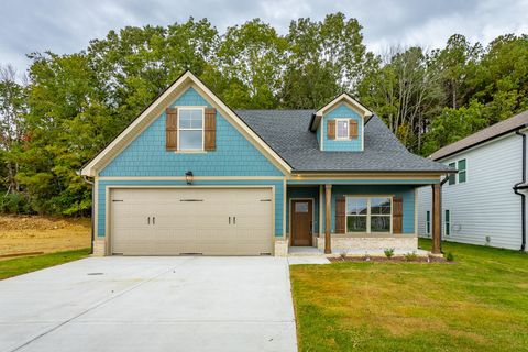 255 Willow Grove Court Ringgold GA 30736