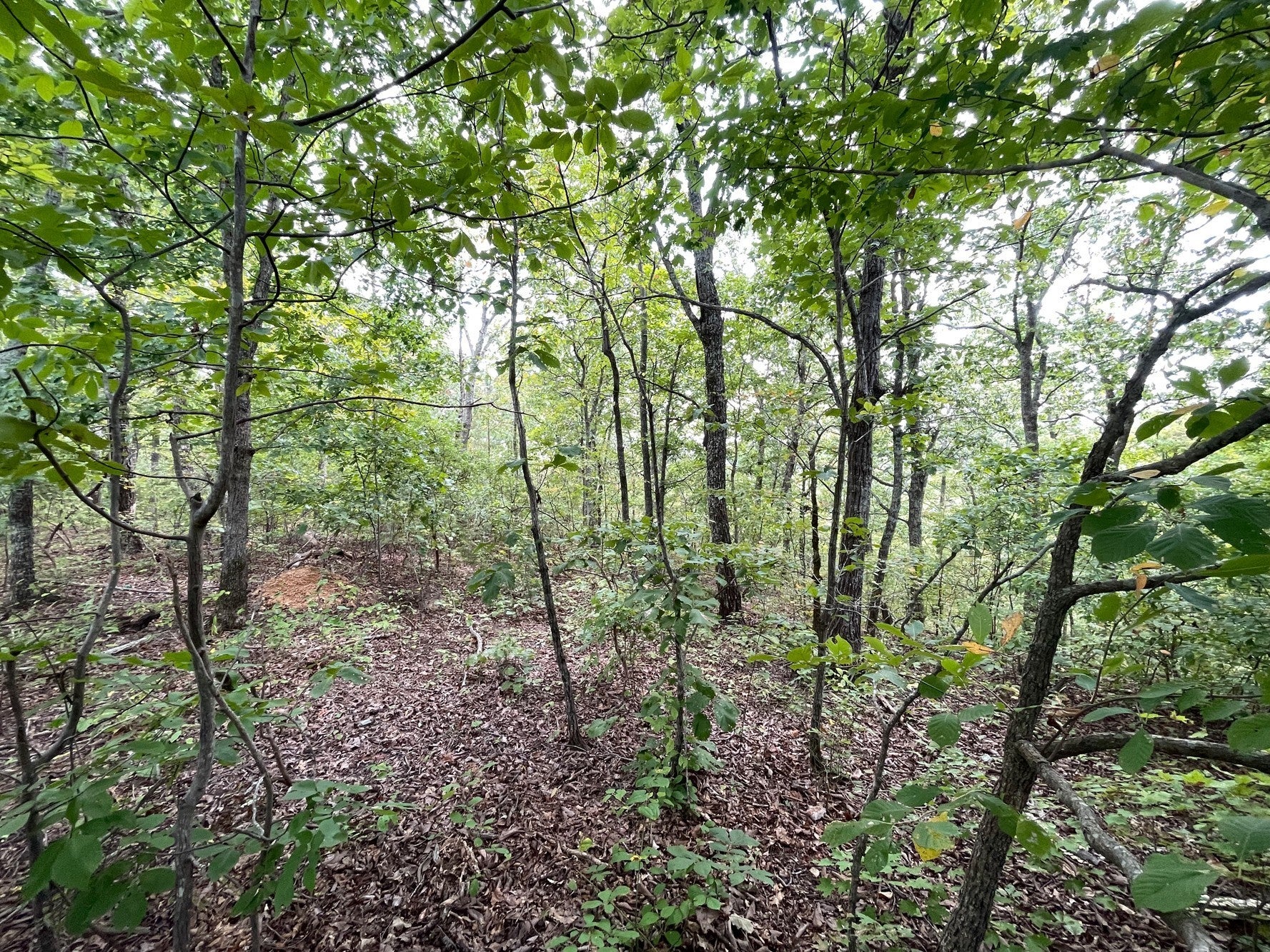 0 McClanahan Rd