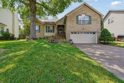 Photo of 3529 Thornehill Dr, Antioch, TN 37013 (MLS # 3183404)