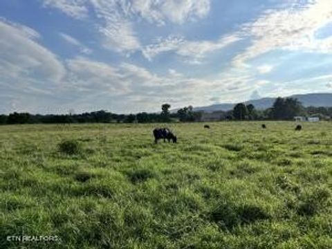 0 Old State Highway 28 Pikeville TN 37367