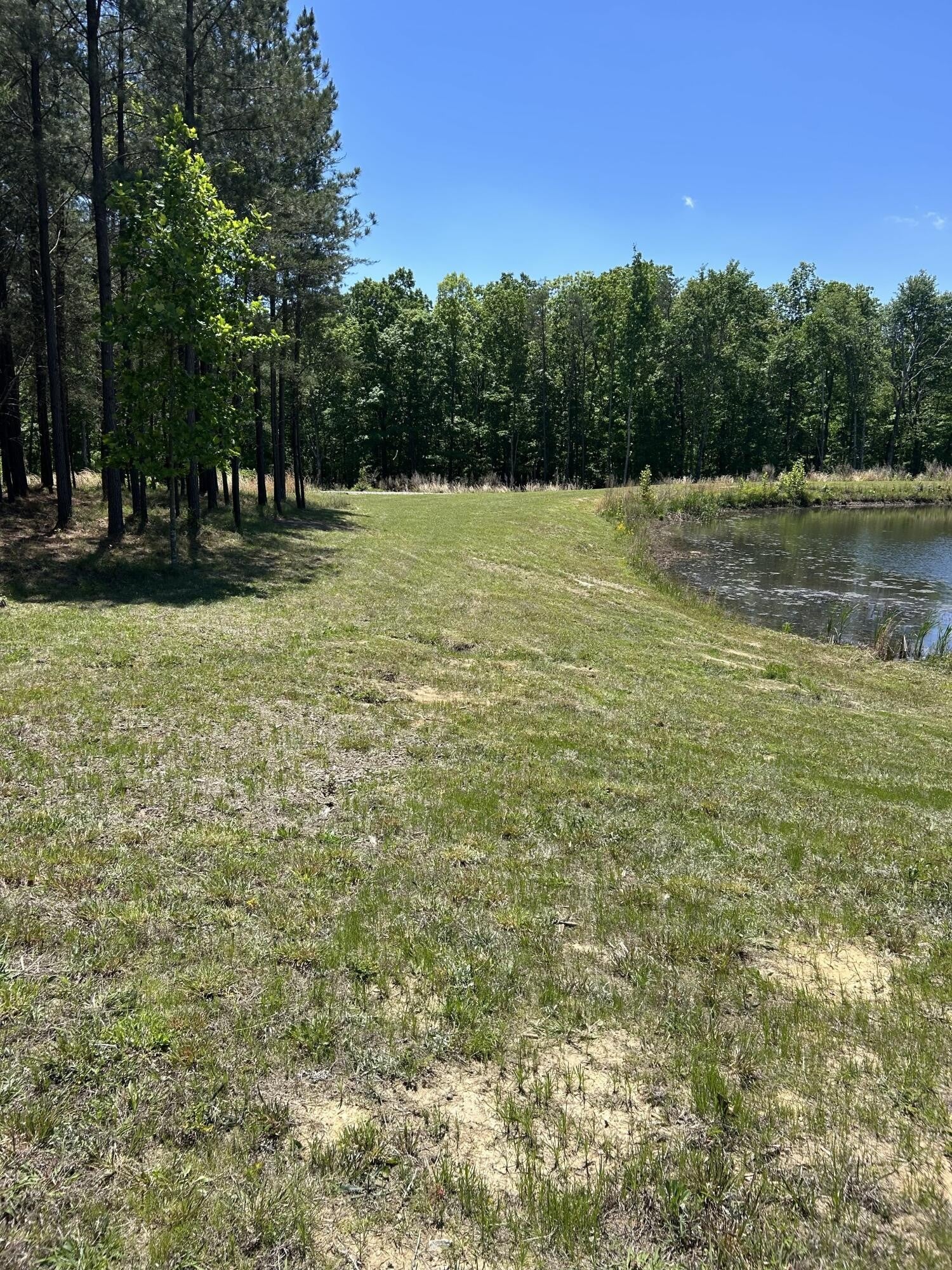 Photo 1 of 31 — 705 Crockett (2.3 Ac) Loop, Jasper, TN 37347