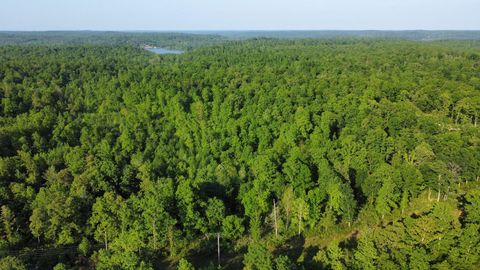 0 Brodies Landing Rd Parsons TN 38363