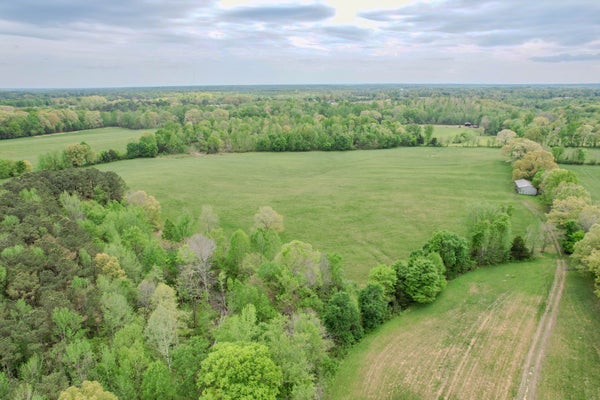 PUNCHEON BRANCH RD, MINOR HILL, TN 38473 - Image eba7caa92e2d8b943259c5b75c65ea82/2362718625