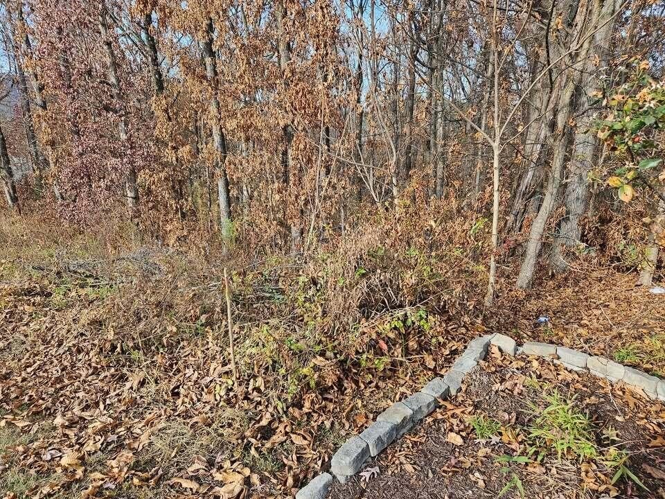 2930 Smyrna Heights Road