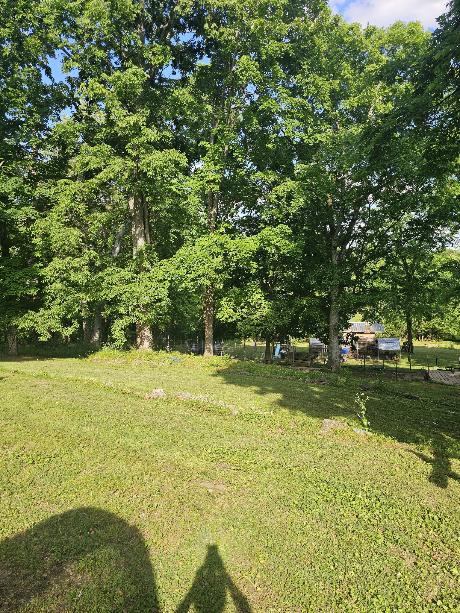 201 Shelbyville Mills Rd