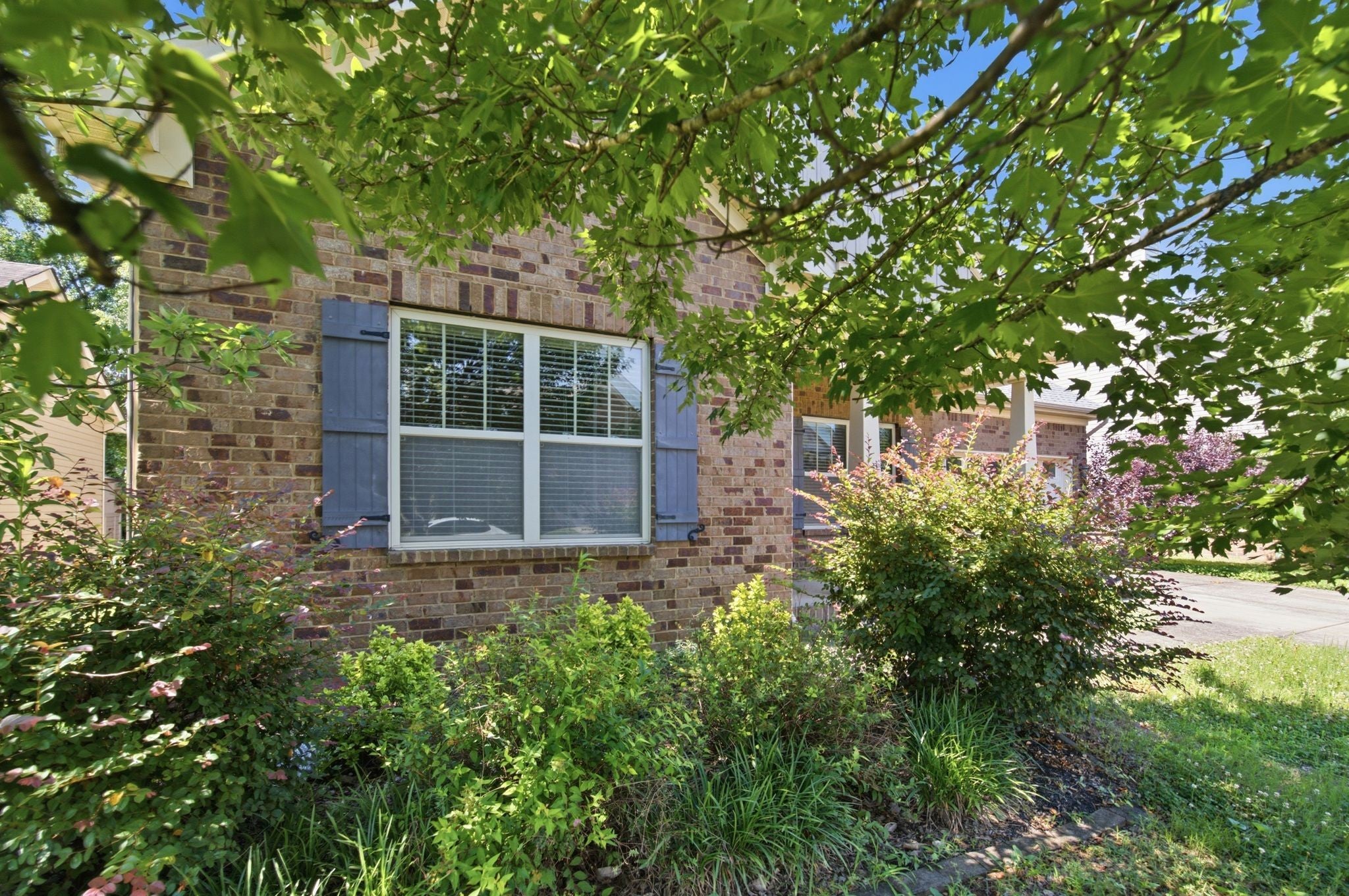 5215 Nancy Seward Dr
