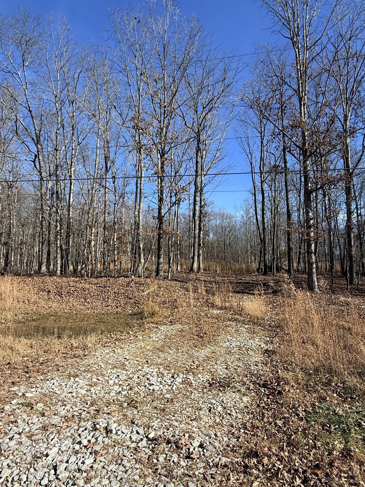0 Deer Wood Dr