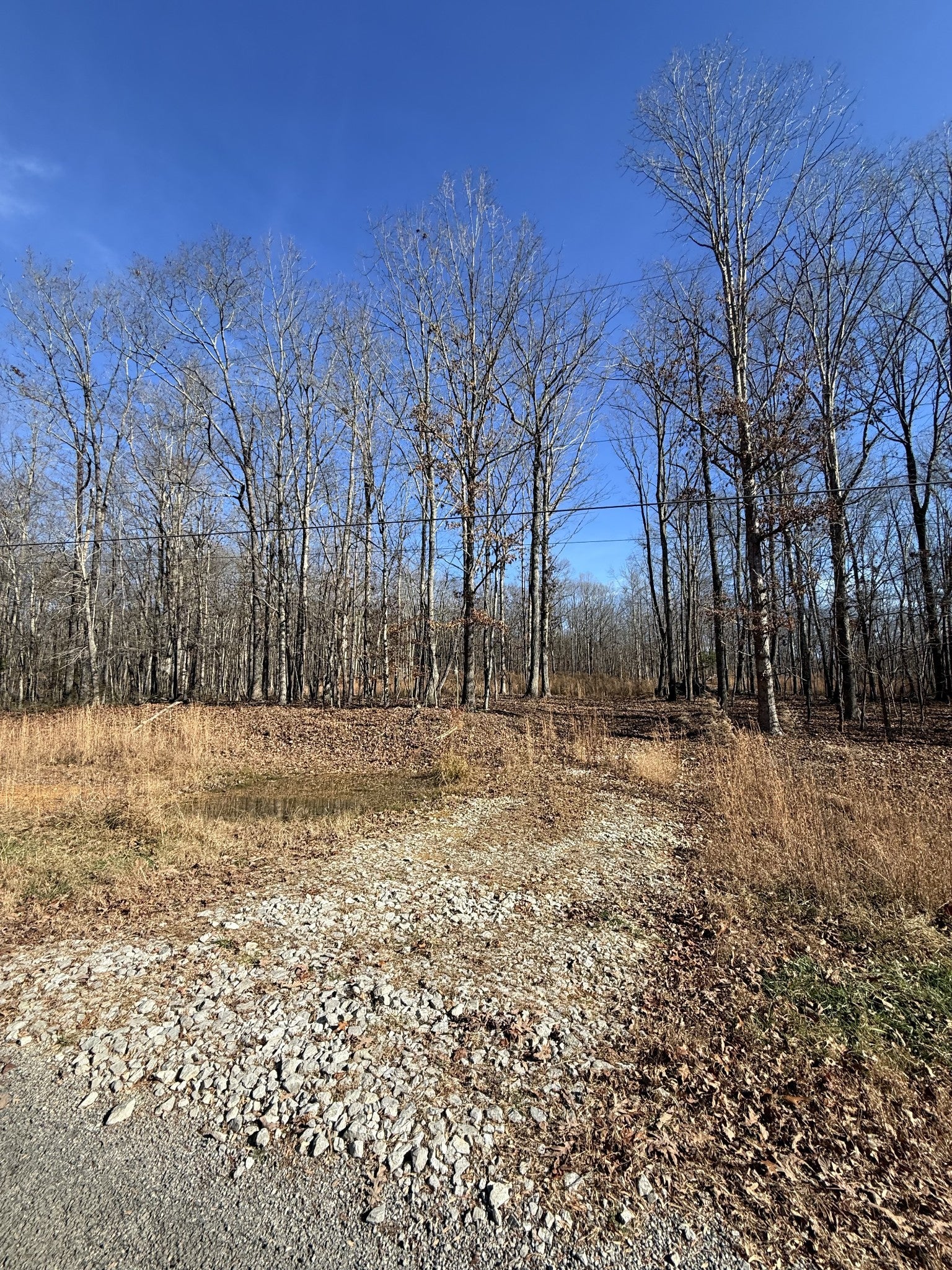 0 Deer Wood Dr