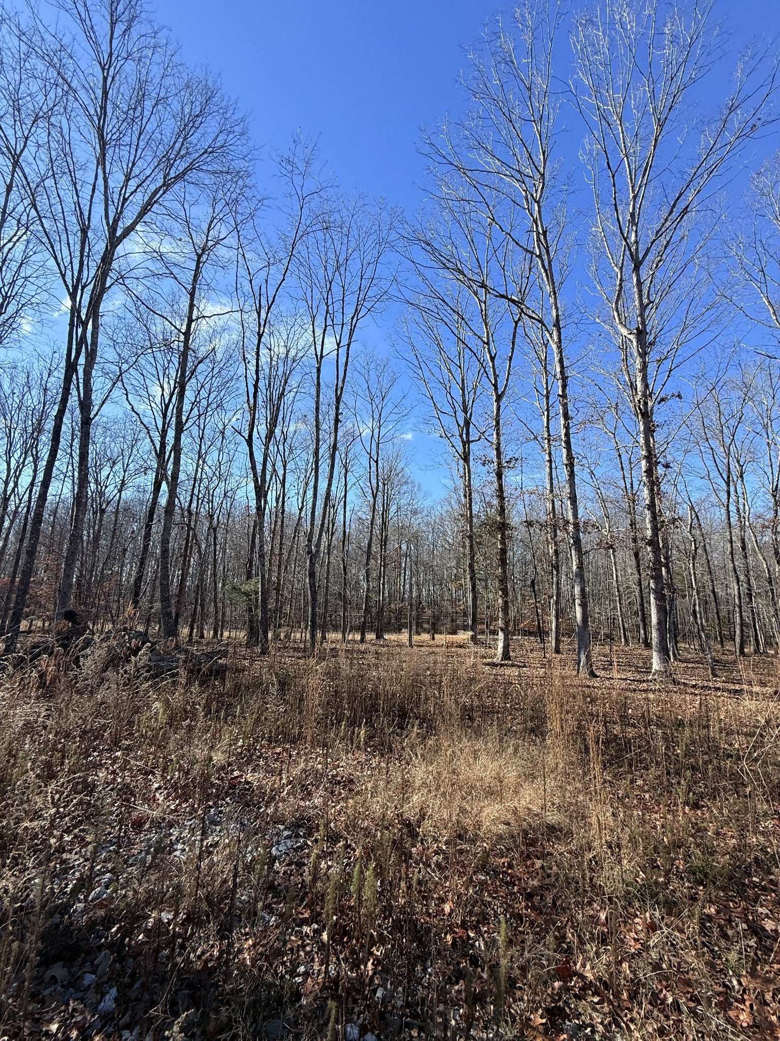 0 Deer Wood Dr