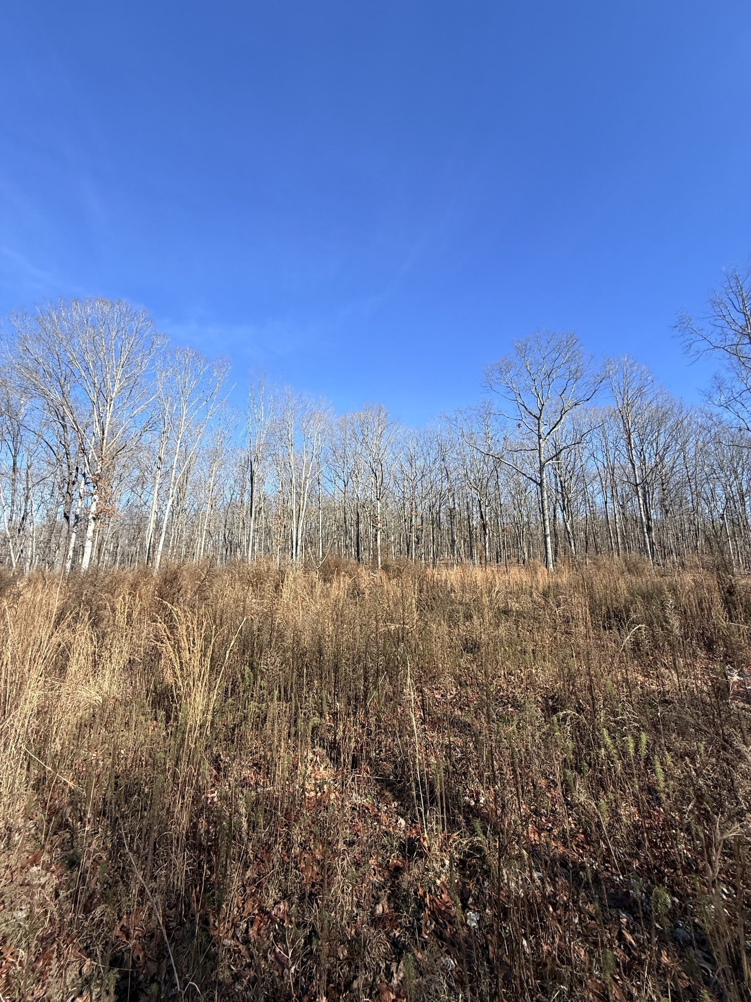 0 Deer Wood Dr