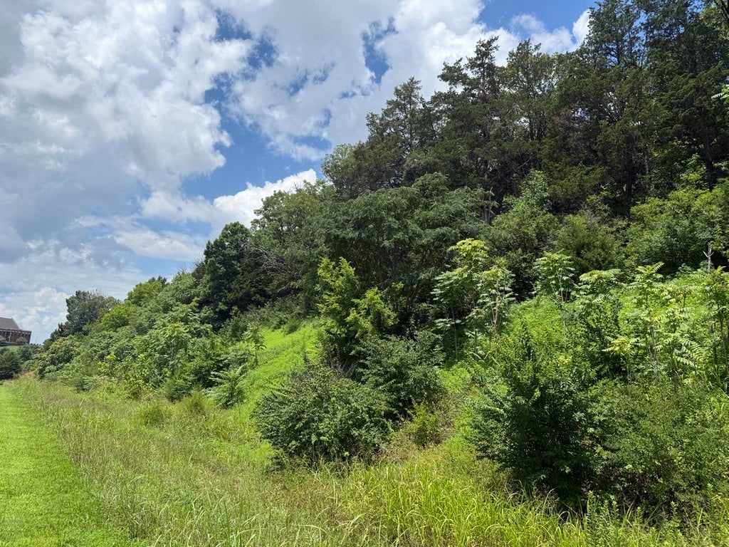0-bed lot for sale in Franklin, TN 37067, 0 Liberty Pike 0 Liberty Pike, Franklin TN 37067 0-bed lot, photo 5 of 21