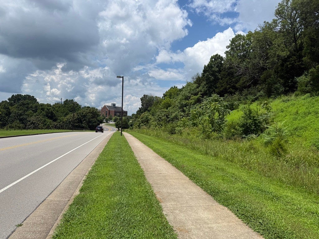 0-bed lot for sale in Franklin, TN 37067, 0 Liberty Pike 0 Liberty Pike, Franklin TN 37067 0-bed lot, photo 4 of 21