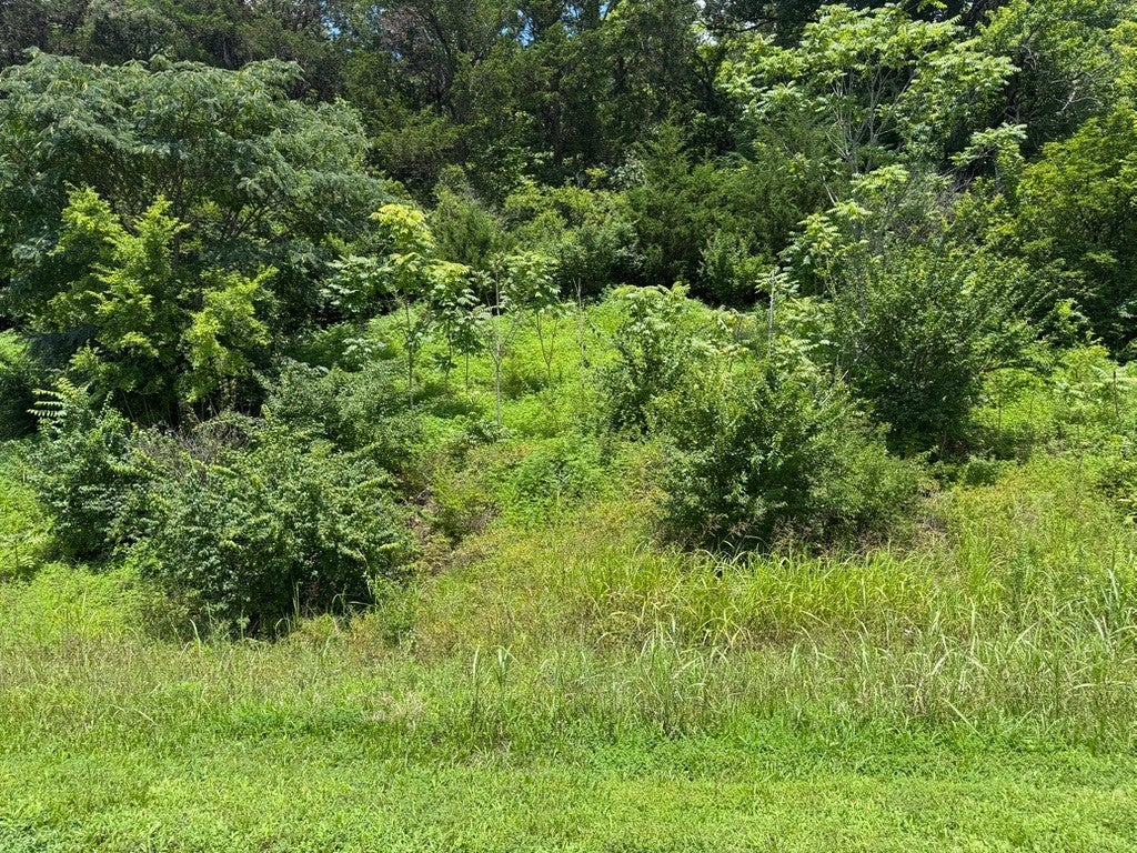 0-bed lot for sale in Franklin, TN 37067, 0 Liberty Pike 0 Liberty Pike, Franklin TN 37067 0-bed lot, photo 2 of 21