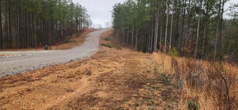 289 Center Ridge Dr Linden TN 37096