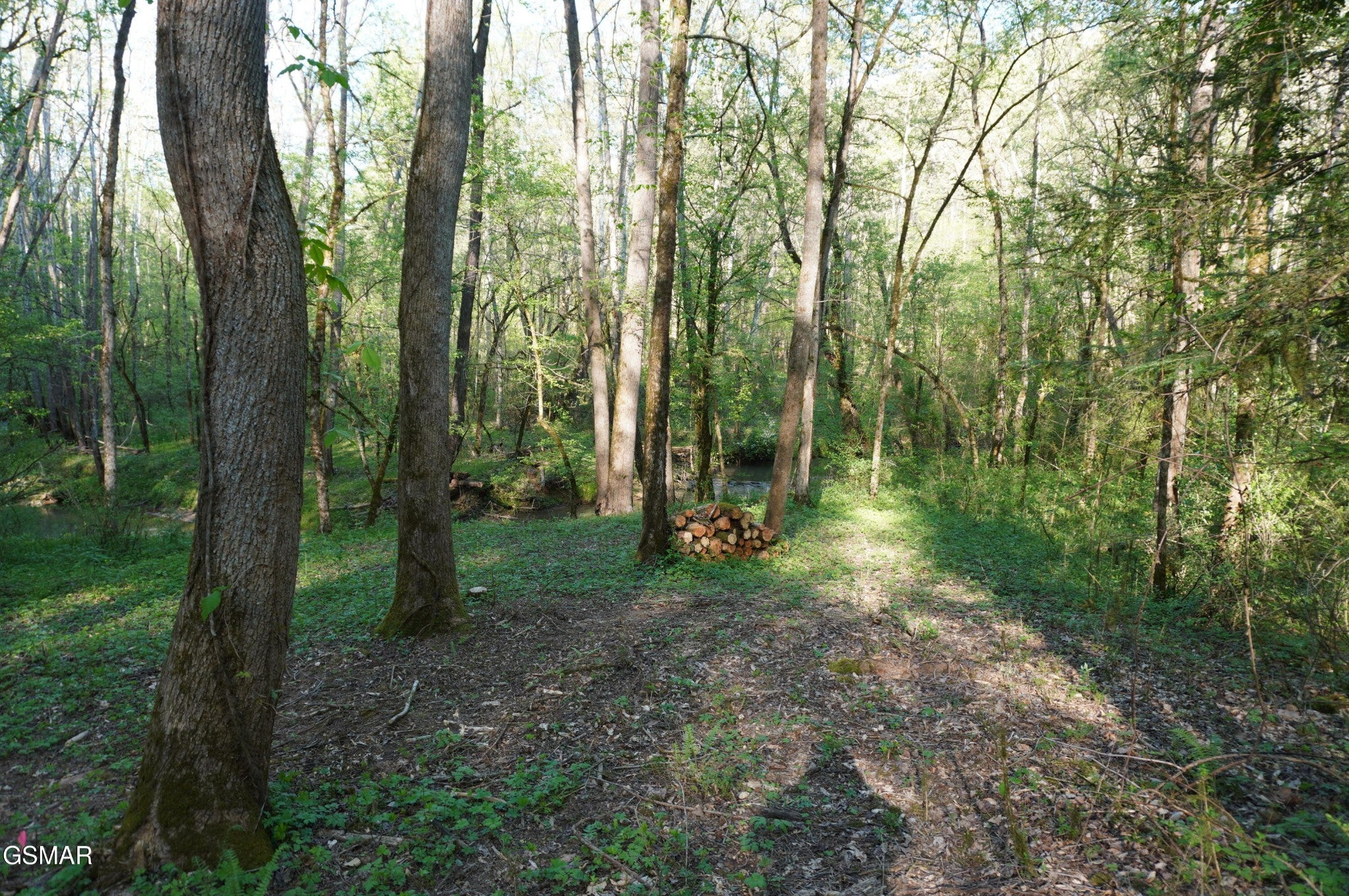 12 Golf Course Road