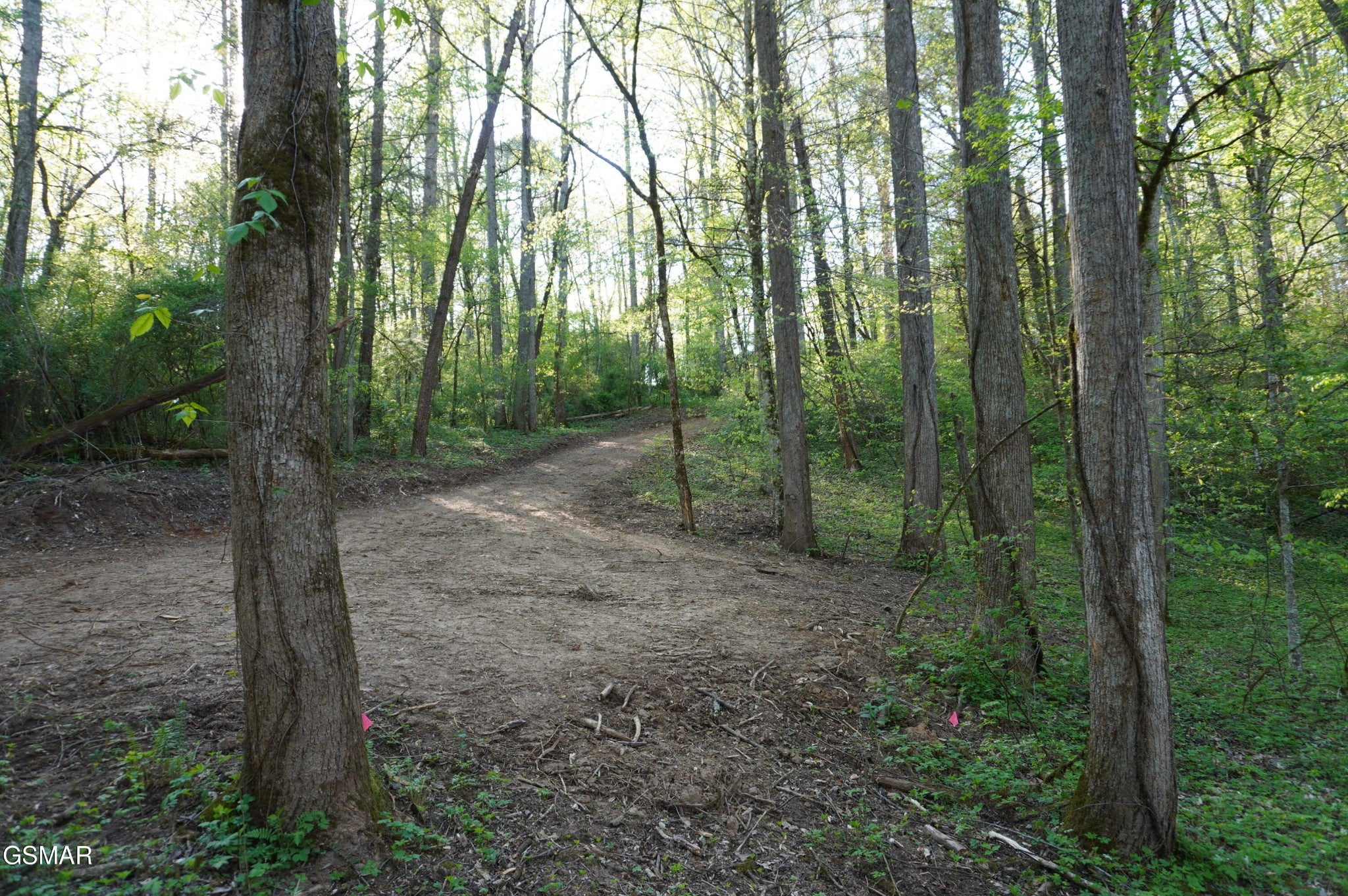 12 Golf Course Road