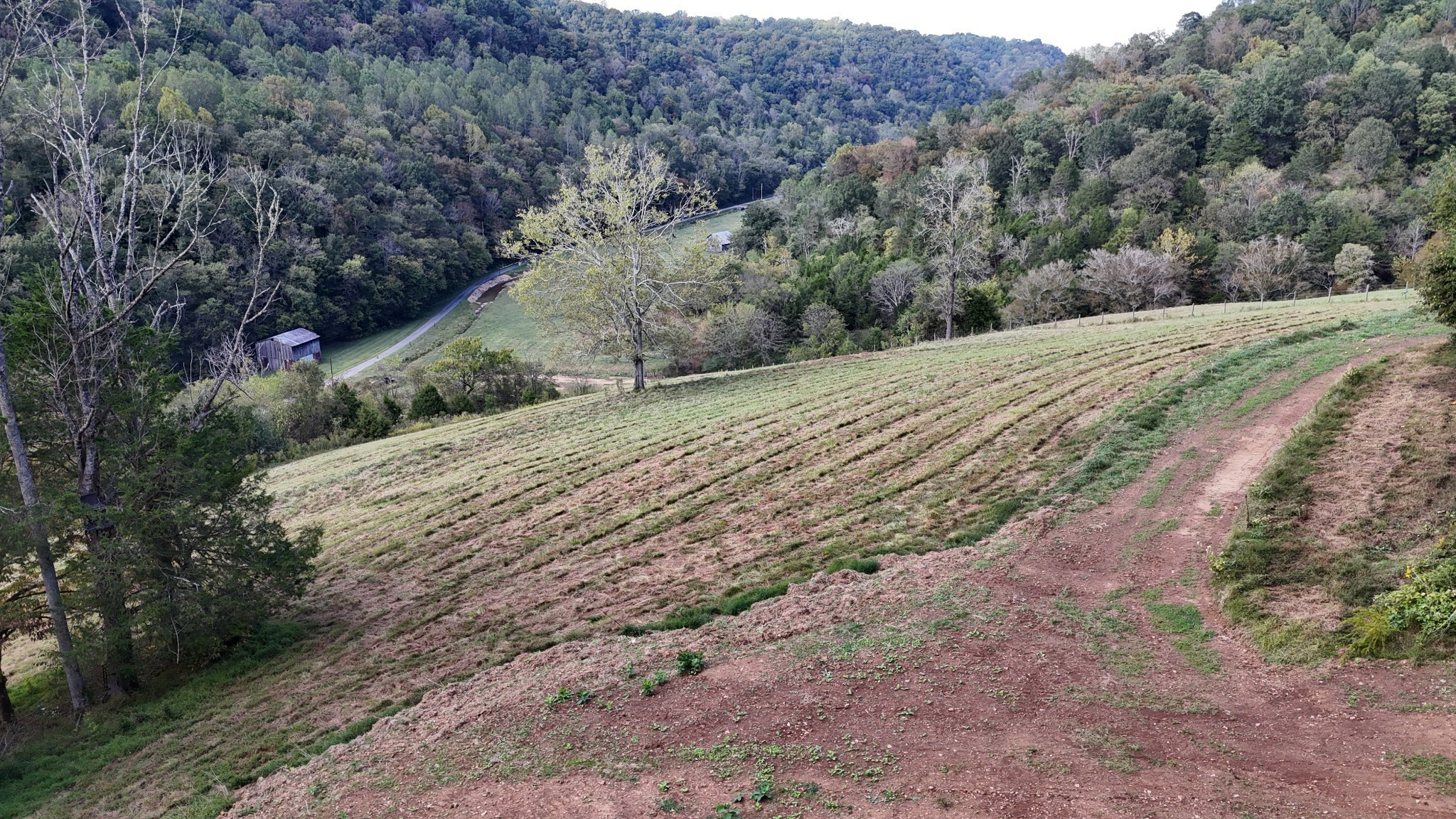 46 Carver Hollow Lane