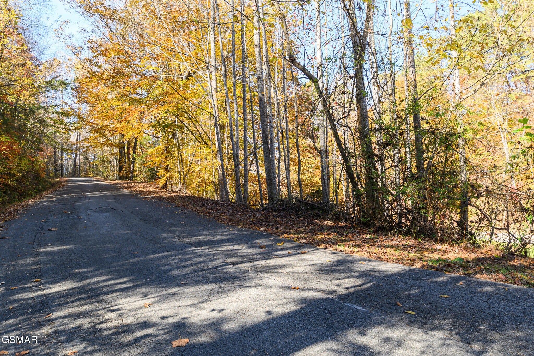1 Jones Cove Road