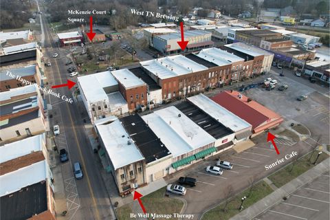 2381 Cedar St Mc Kenzie TN 38201