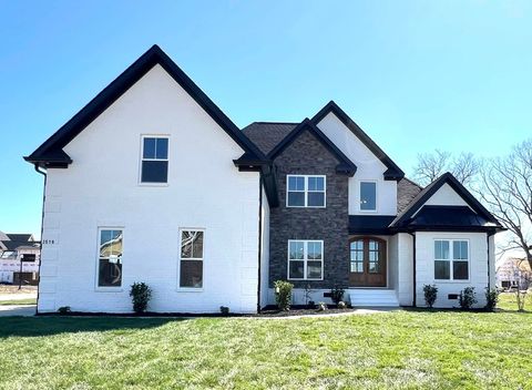 0 Izzy Mae Court Christiana TN 37037