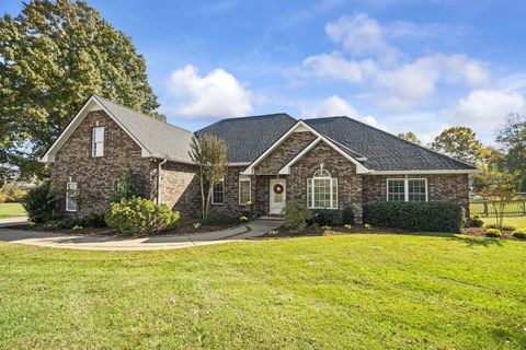 2003 Tammy Dr Springfield TN 37172