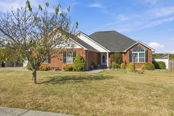 3132 LAMURA LN, SMYRNA, TN 37167 - Image ecac9b0846d838f9d8b8b322ed27e2d7/1015082003