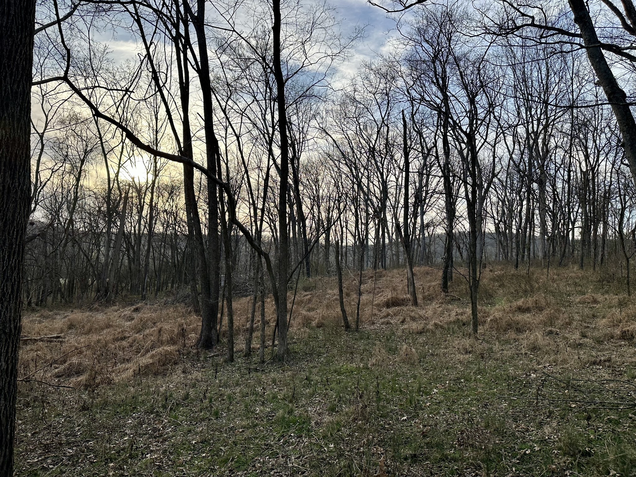 2980 Swindell Hollow Rd