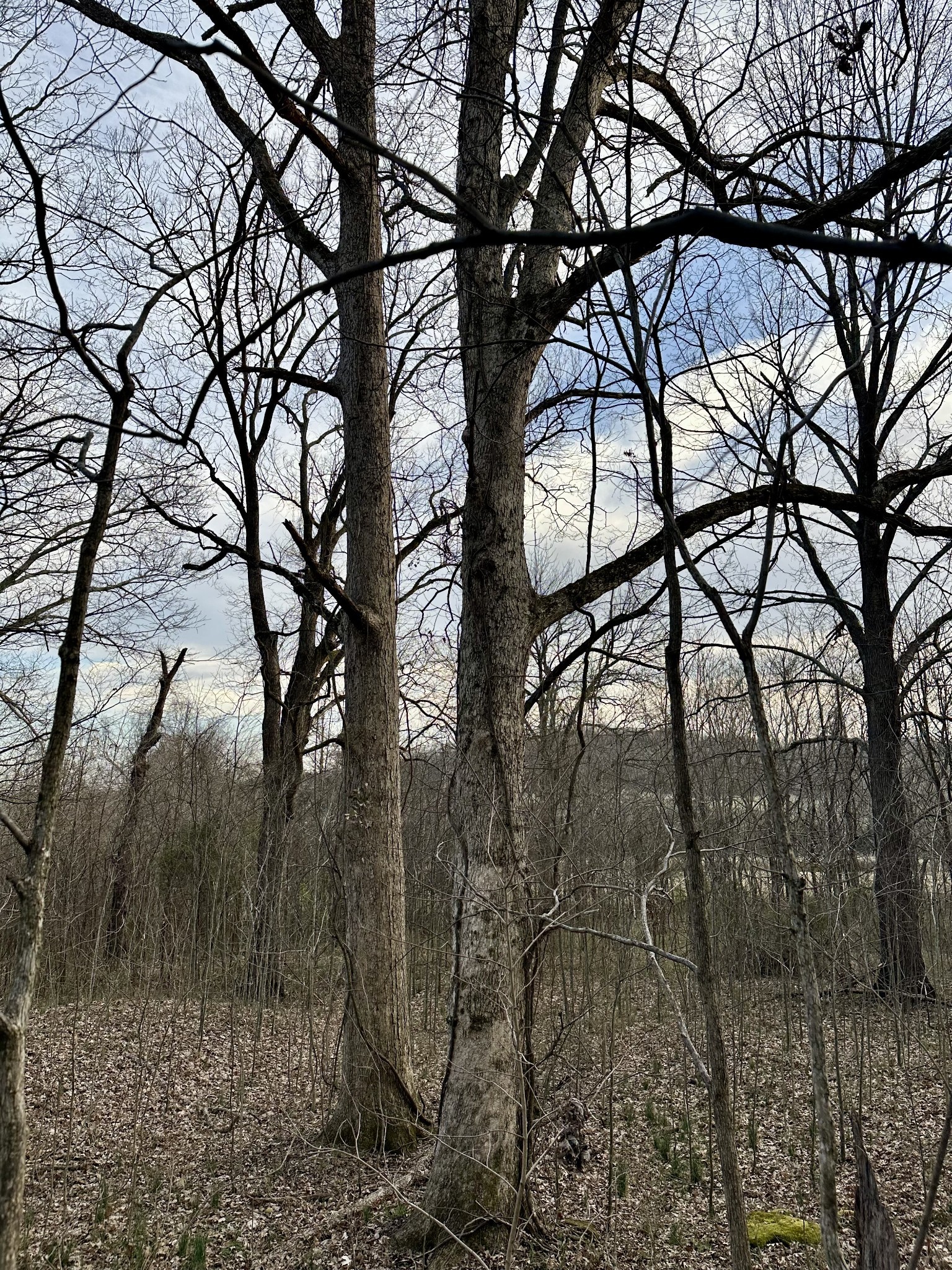 2980 Swindell Hollow Rd