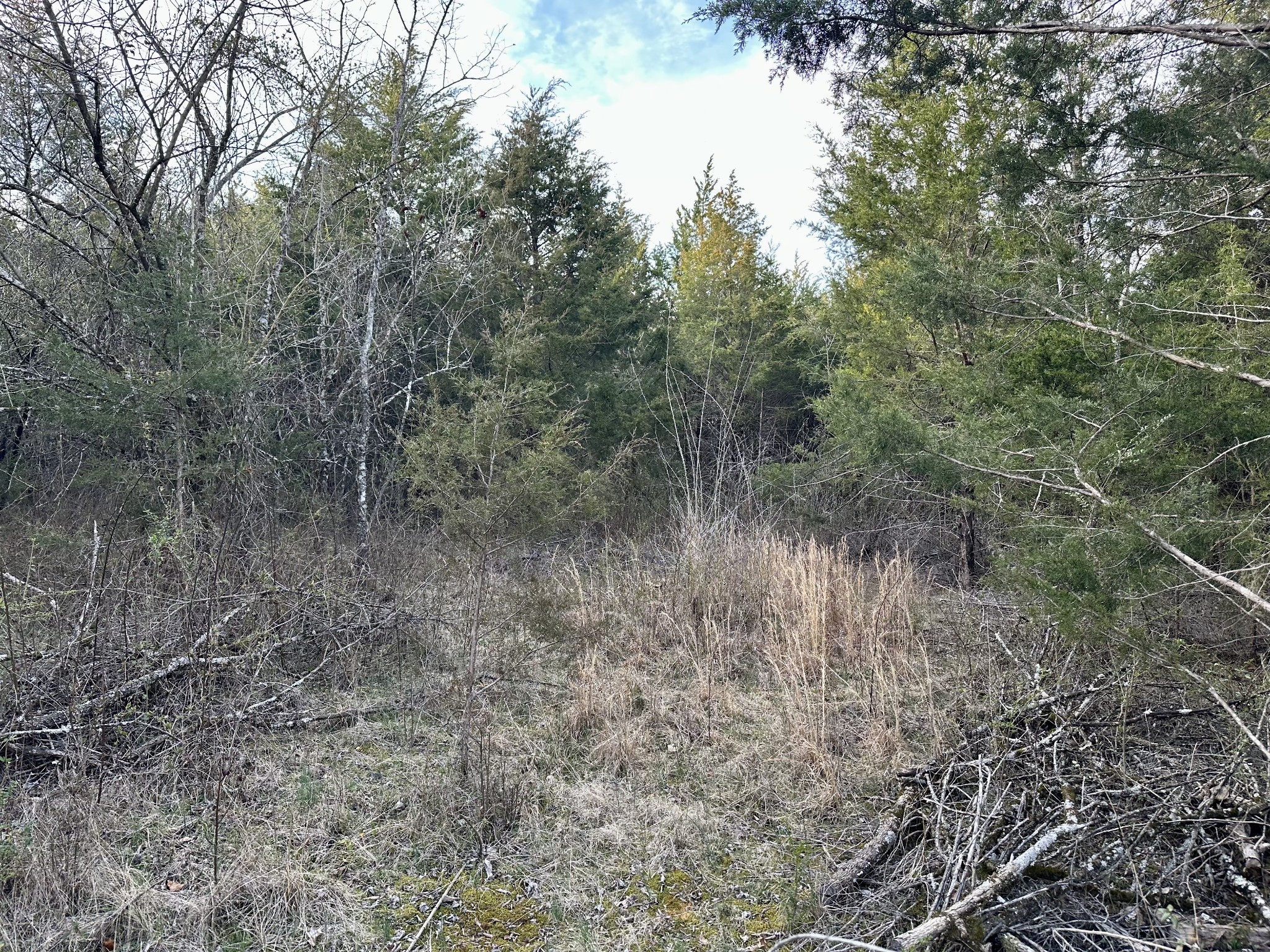 2980 Swindell Hollow Rd