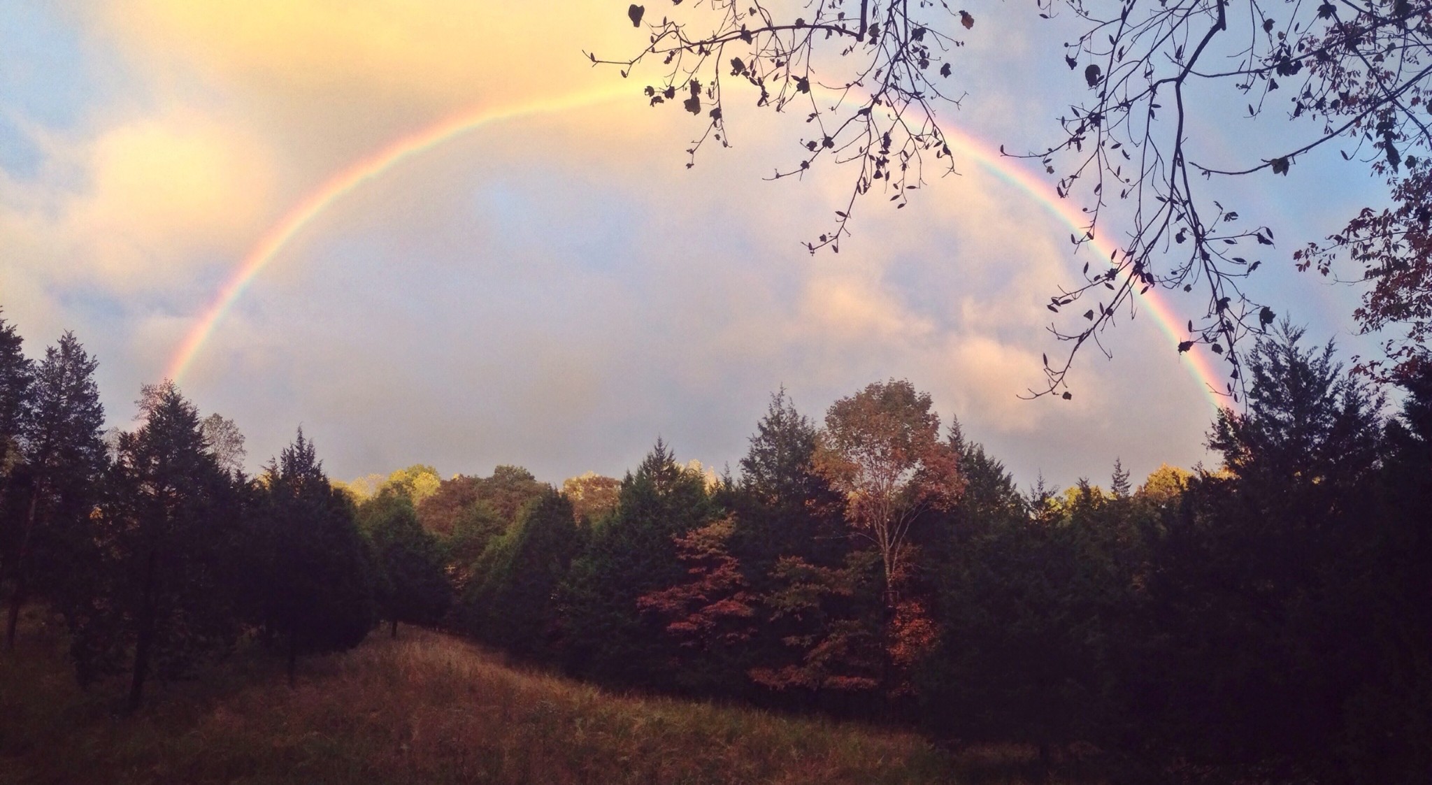 7061 E Plunders Creek Rd