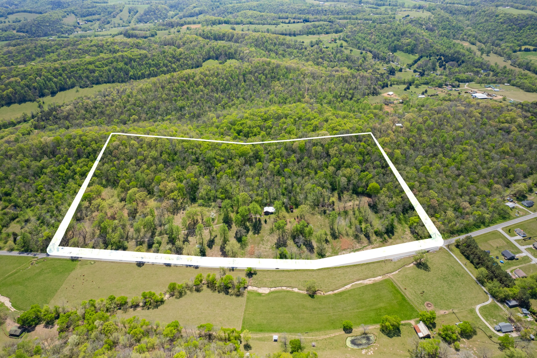 8039 Campbellsville Rd