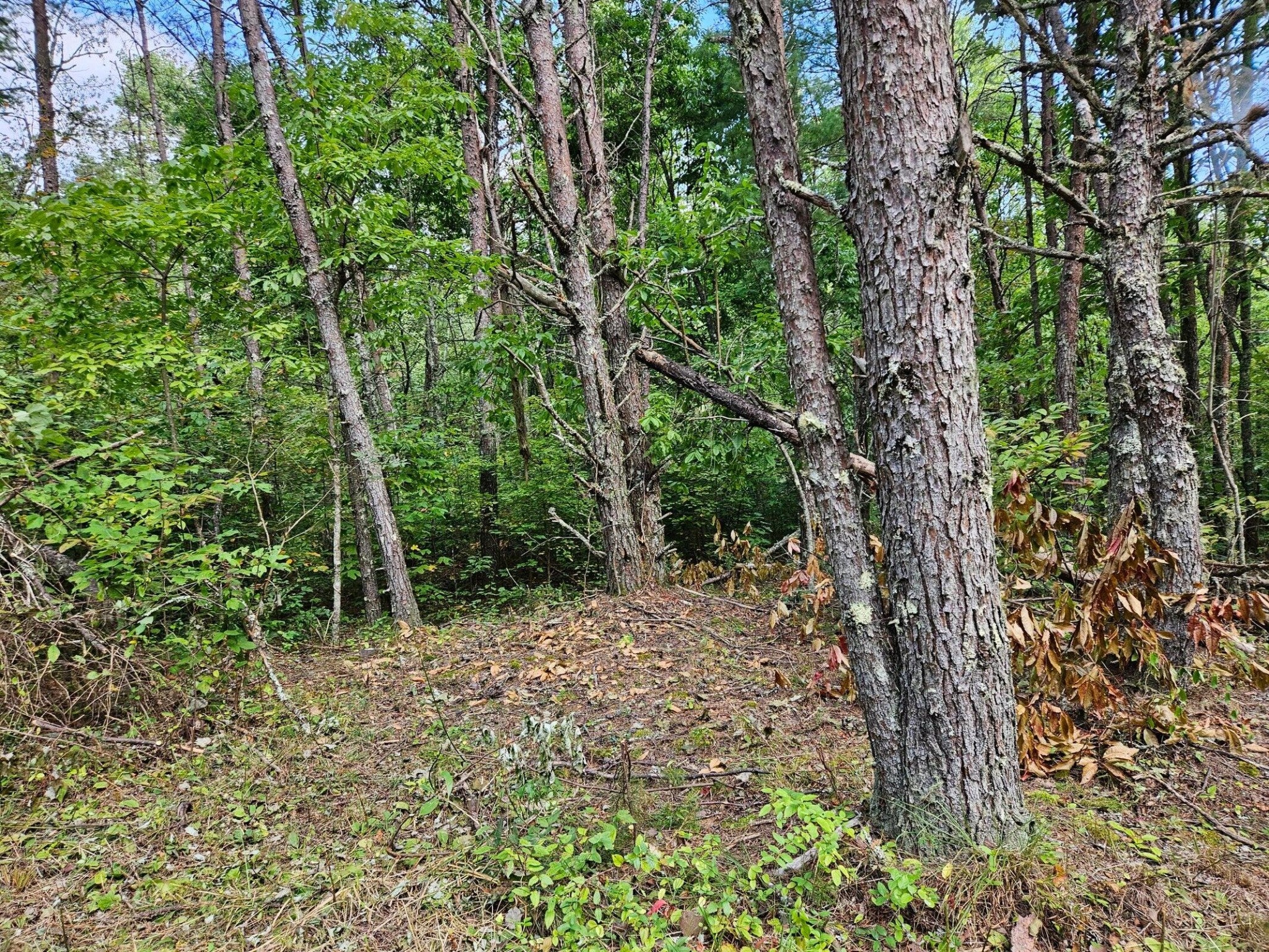 0 Golf Course Road