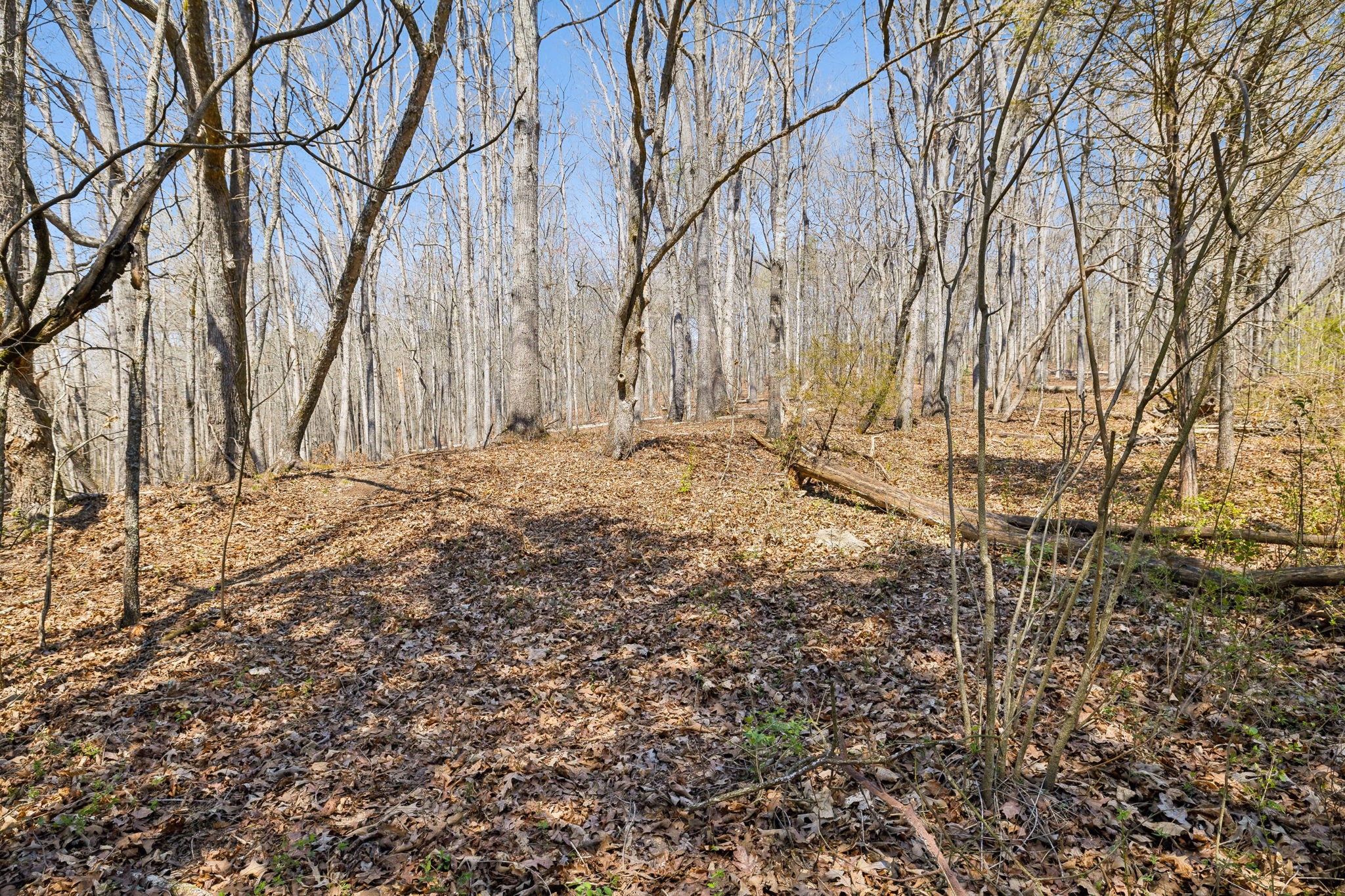 1300 Old Sugar Limb Rd