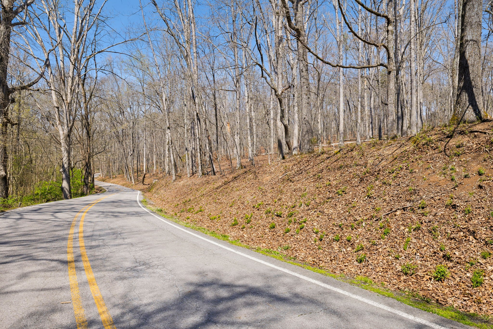 1300 Old Sugar Limb Rd