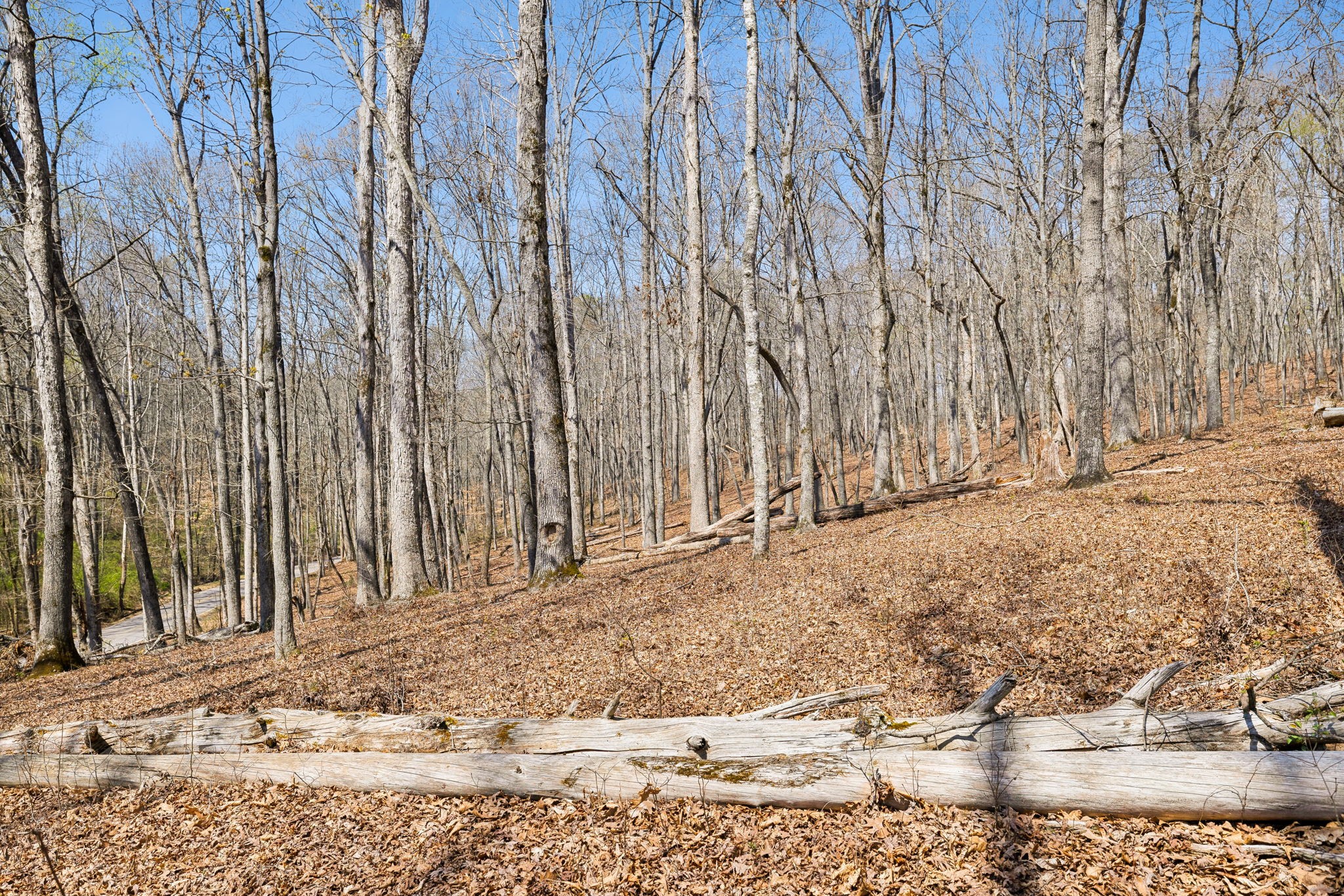 1300 Old Sugar Limb Rd